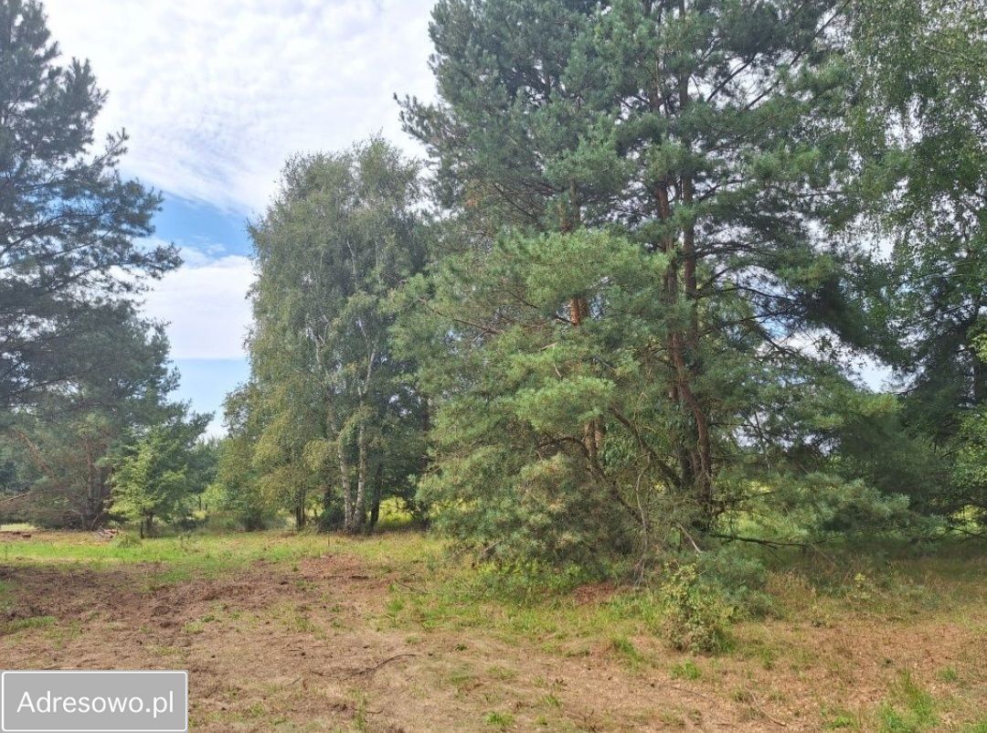 Działka budowlana Łagówek. Zdjęcie 6