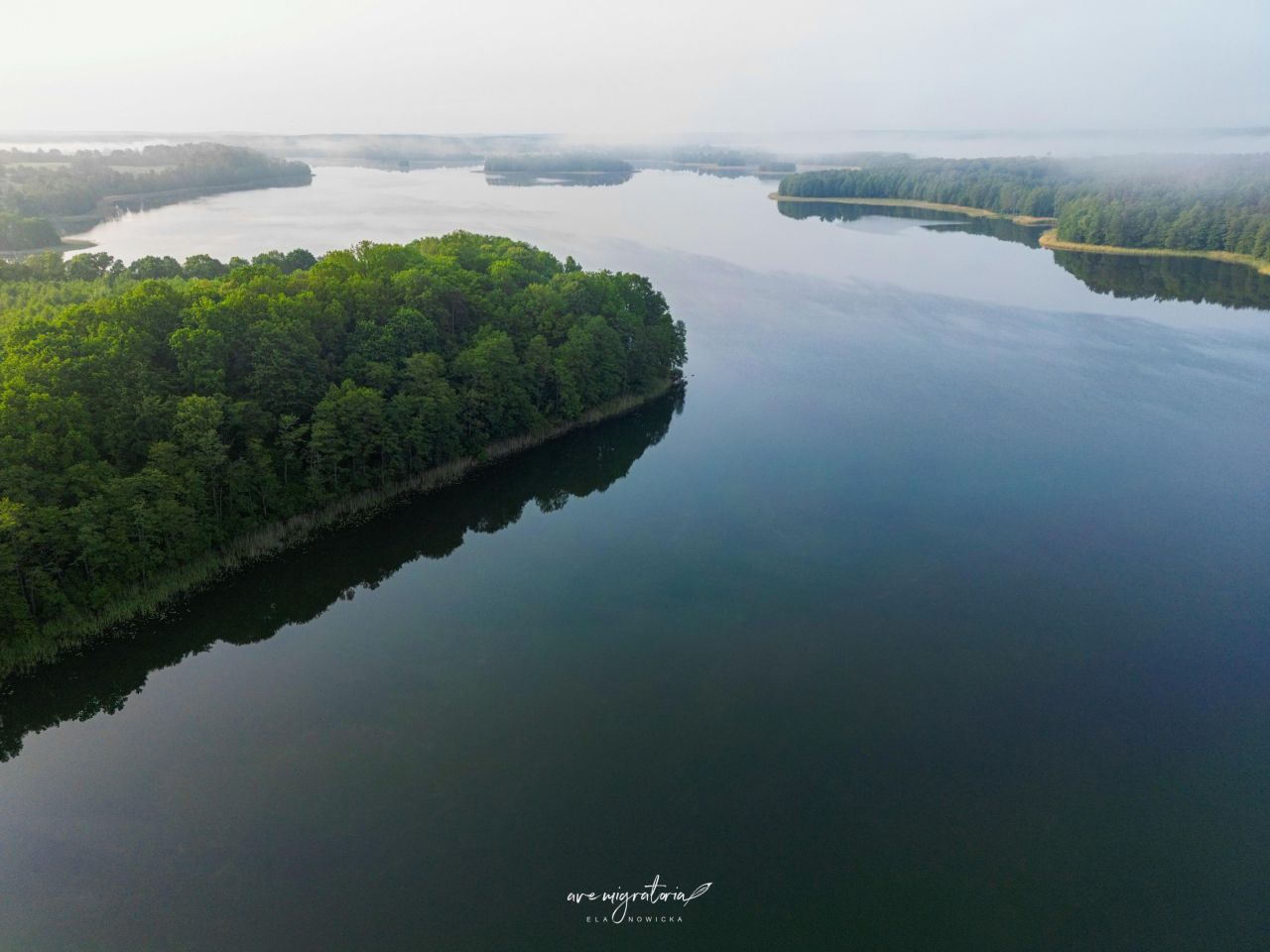 Działka budowlana Kozia Góra. Zdjęcie 4