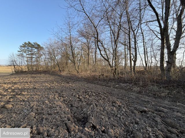 Działka budowlana Starbienino. Zdjęcie 1