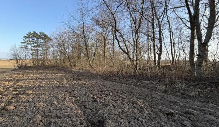 Działka budowlana Starbienino