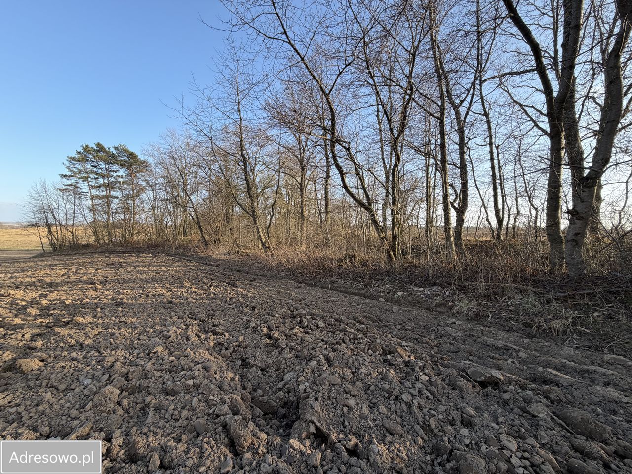 Działka budowlana Starbienino. Zdjęcie 1
