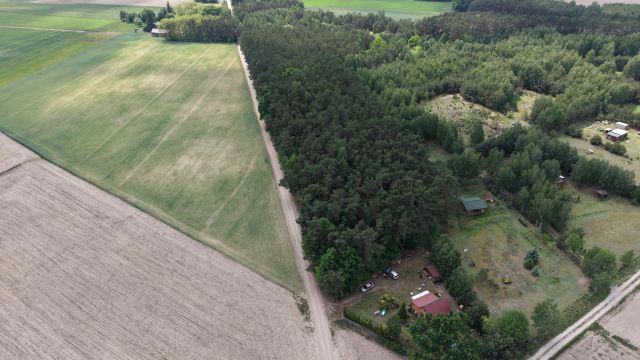 Działka rekreacyjna Gromadzyn. Zdjęcie 3