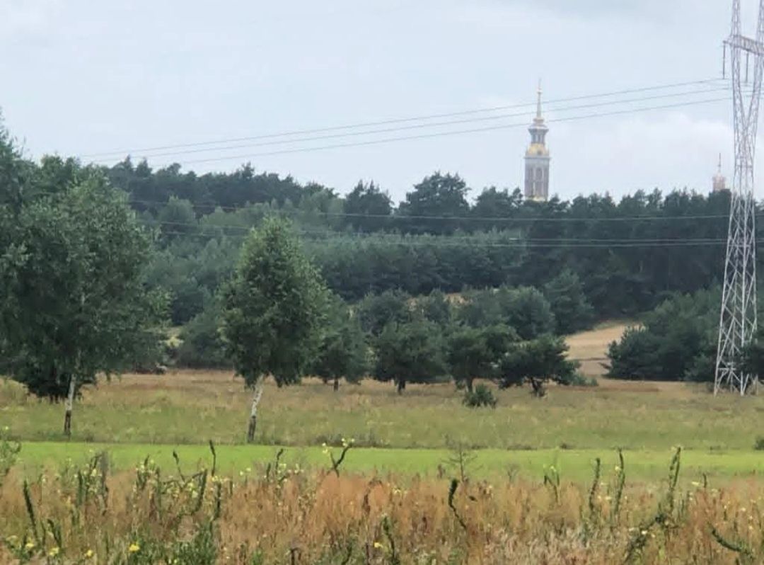 Działka budowlana Helenów Pierwszy. Zdjęcie 1