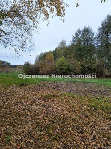 Działka rolna Kruszyn Krajeński. Zdjęcie 4