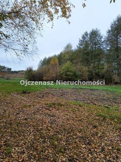 Działka rolna Kruszyn Krajeński. Zdjęcie 4