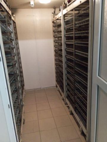 Nieruchomość komercyjna Osiecza Pierwsza. Zdjęcie 3