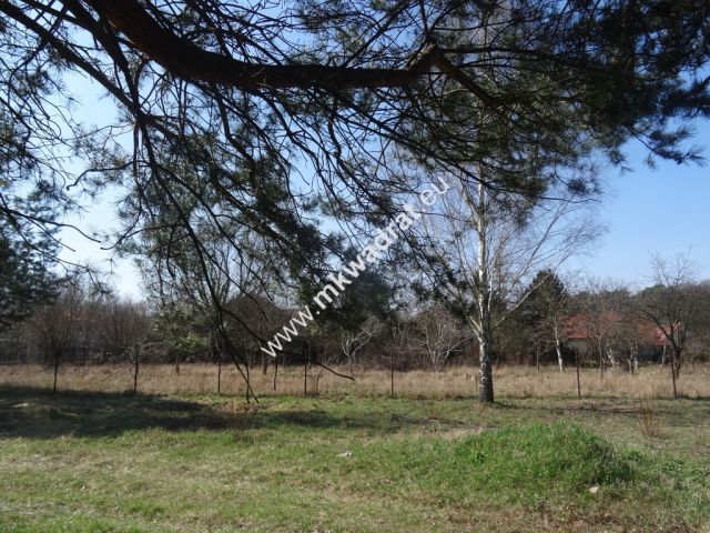 Działka budowlana Komorów. Zdjęcie 2