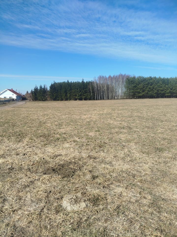 Działka rolno-budowlana Rostki. Zdjęcie 2