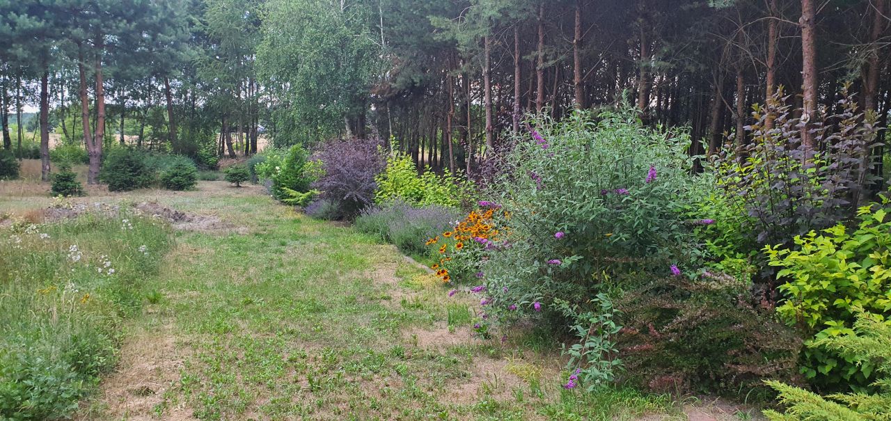 Działka budowlana Dębniaki. Zdjęcie 7