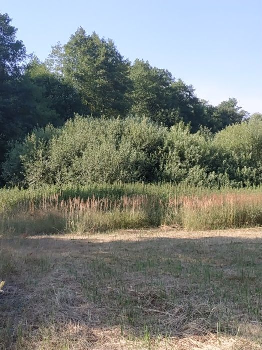 Działka budowlana Kąty. Zdjęcie 2