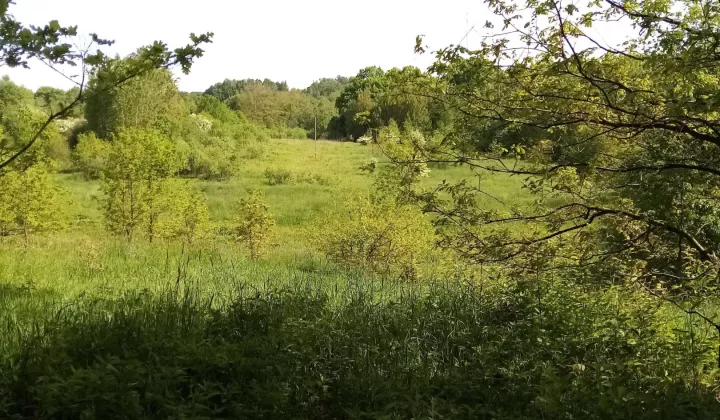 Działka rolna Włosań