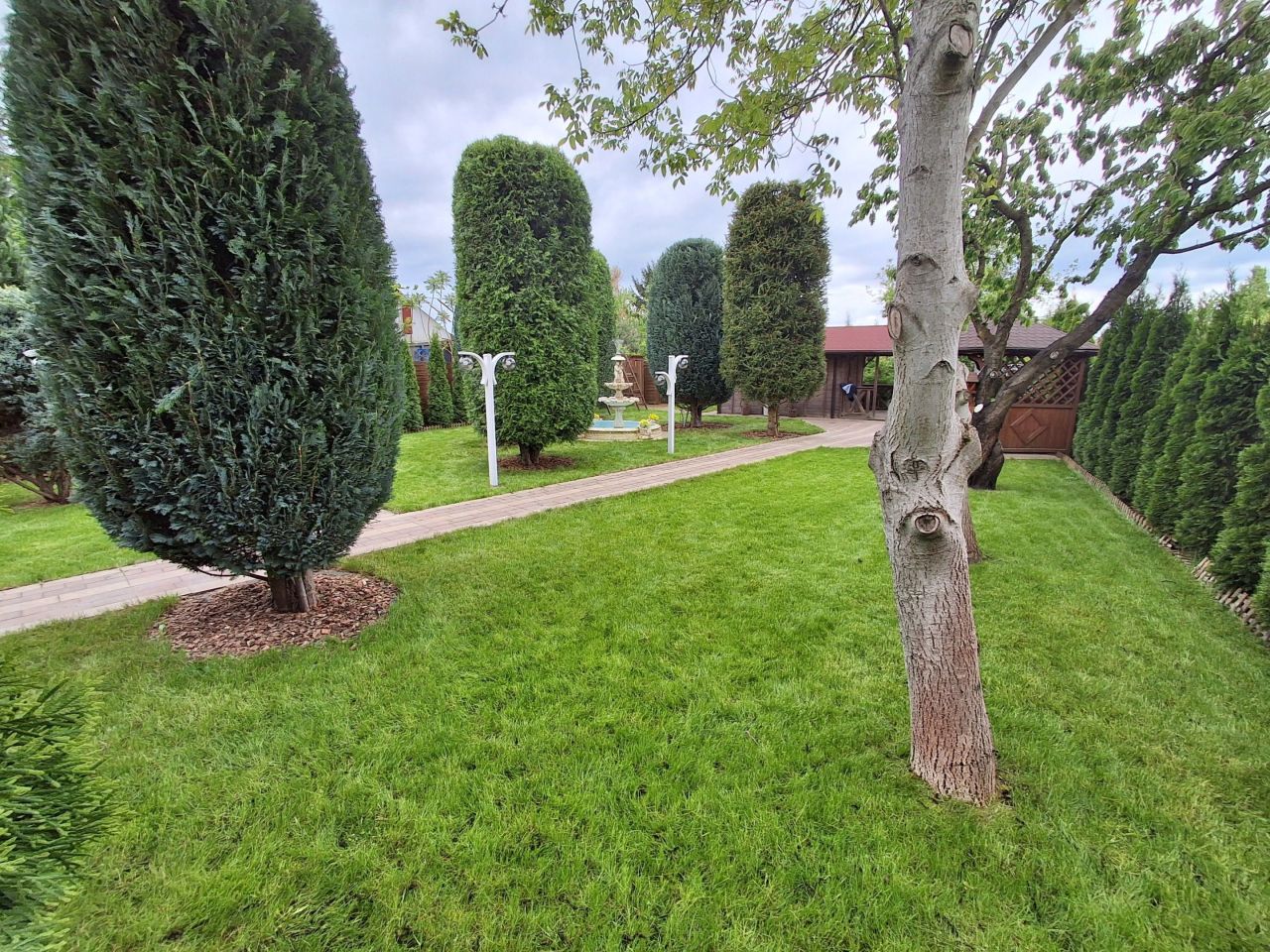 Działka rod Płock, ul. Dobrzyńska. Zdjęcie 4