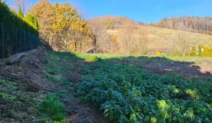 Działka rolno-budowlana Strzyżów