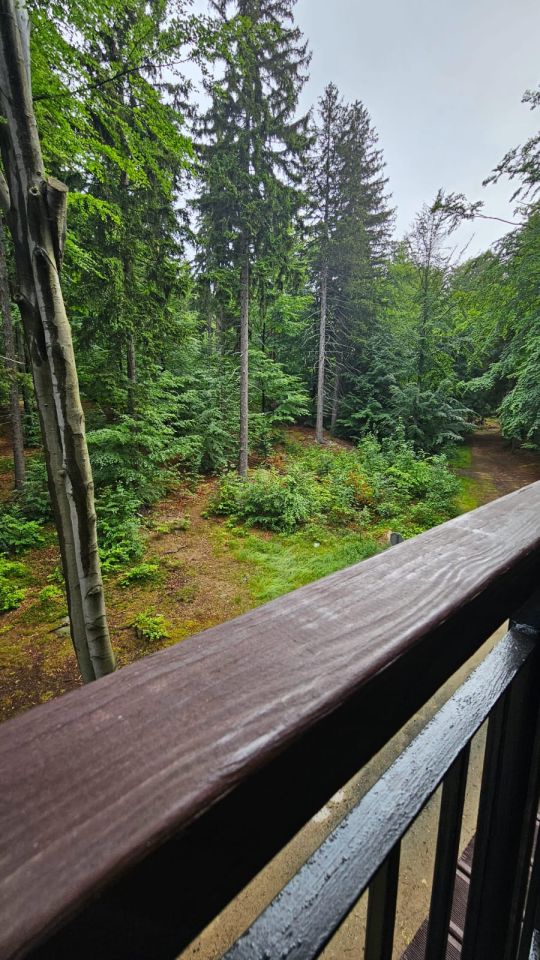 Mieszkanie 2-pokojowe Szklarska Poręba Szklarska Poręba Górna, ul. Górna. Zdjęcie 30