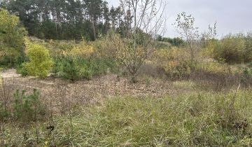 Działka rolno-budowlana Krajkowo