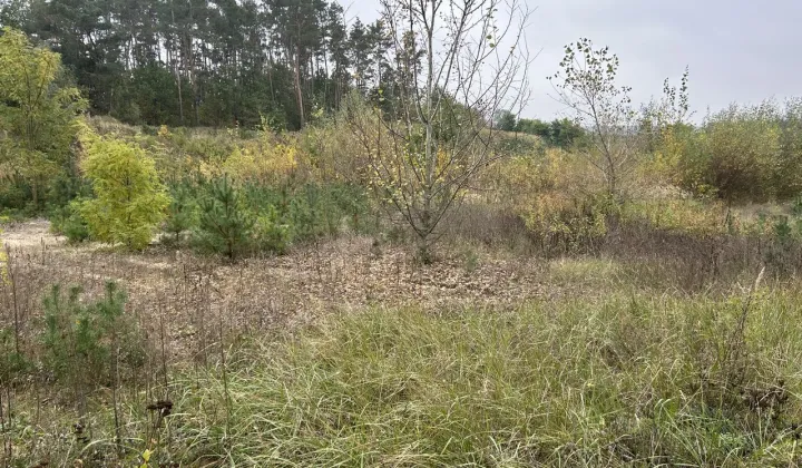 Działka rolno-budowlana Krajkowo