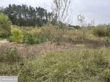 Działka rolno-budowlana Krajkowo