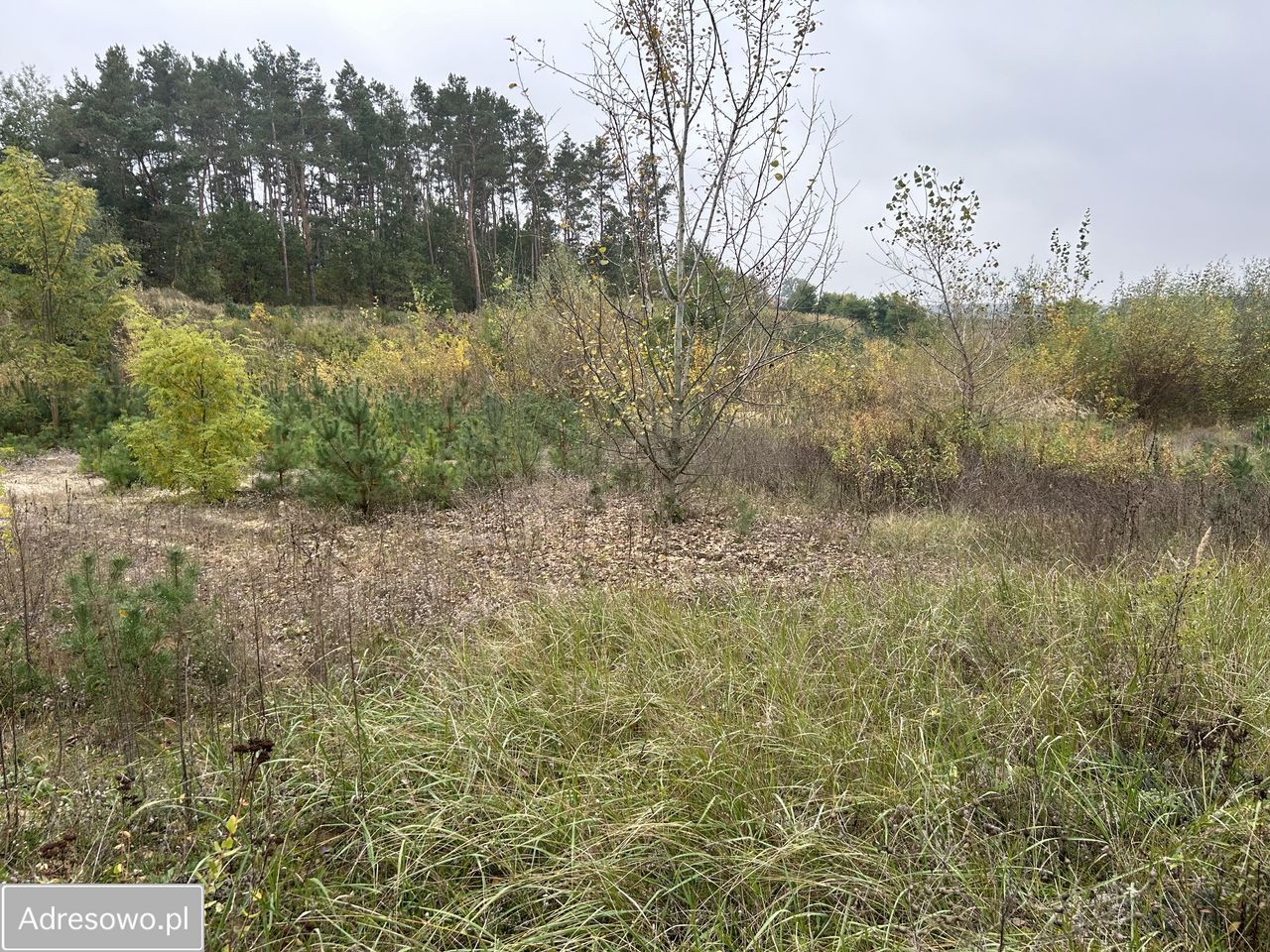 Działka rolno-budowlana Krajkowo