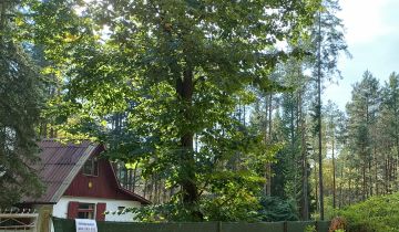 Działka rekreacyjna Popowo-Parcele