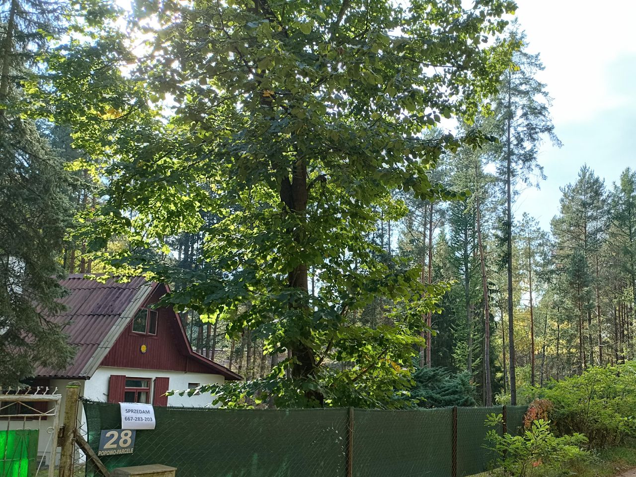 Działka rekreacyjna Popowo-Parcele. Zdjęcie 2