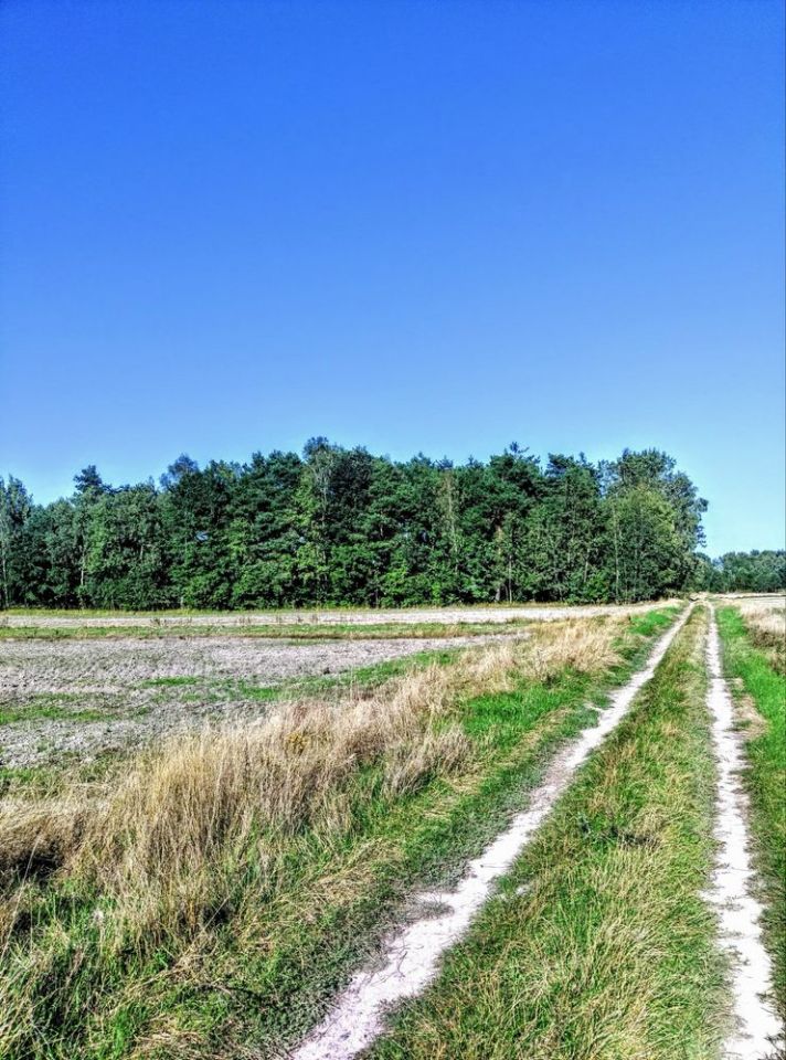 Działka rekreacyjna Kaniwola. Zdjęcie 7