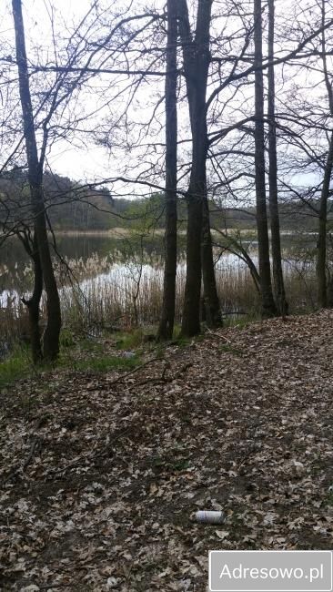Działka rekreacyjna Chłopowo. Zdjęcie 2