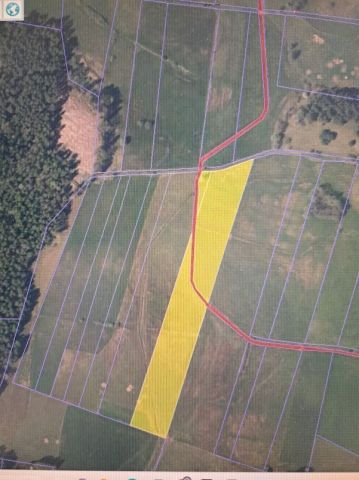 Działka rolno-budowlana Miłogórze. Zdjęcie 1