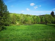 Działka rolna Chyrowa. Zdjęcie 2