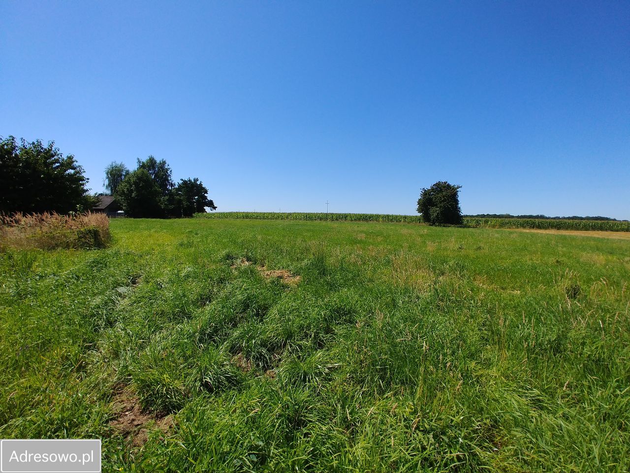 Działka budowlana Iłownica