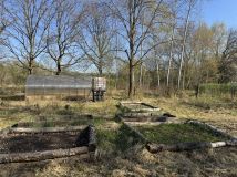 Działka rod Wrocław Stabłowice. Zdjęcie 2