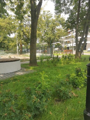 Mieszkanie 1-pokojowe Legionowo Centrum, ul. Pałacowa. Zdjęcie 13