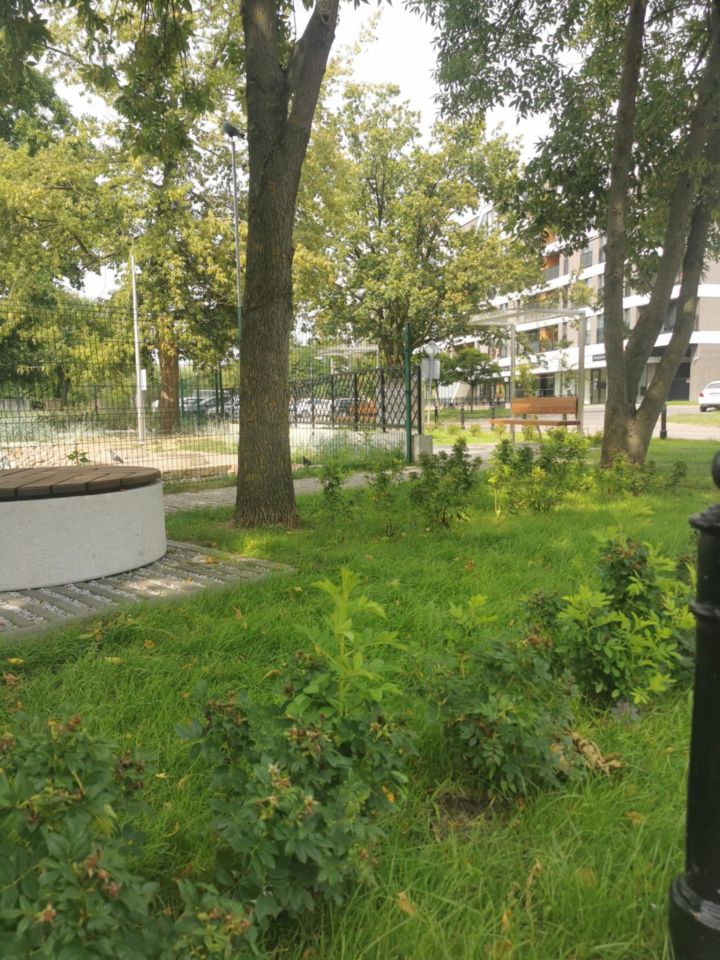 Mieszkanie 1-pokojowe Legionowo Centrum, ul. Pałacowa. Zdjęcie 13