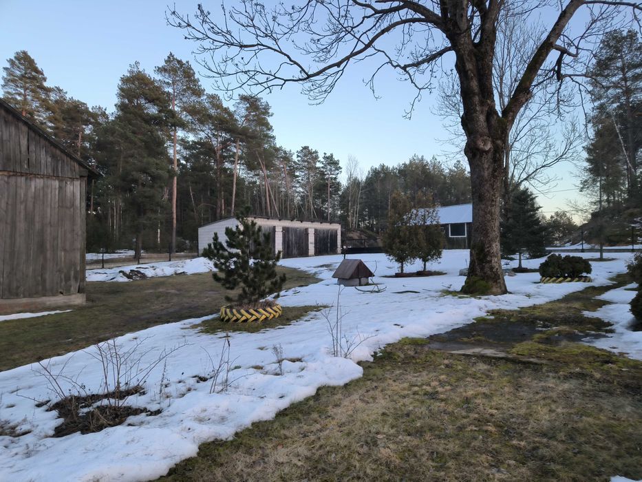 Działka siedliskowa Olszyny. Zdjęcie 8