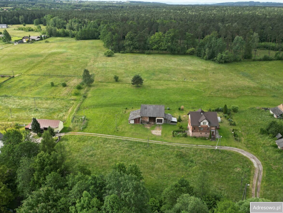 Działka budowlana Wola Filipowska. Zdjęcie 1