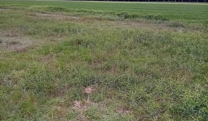 Działka budowlana Mołodycz Wola Mołodycka