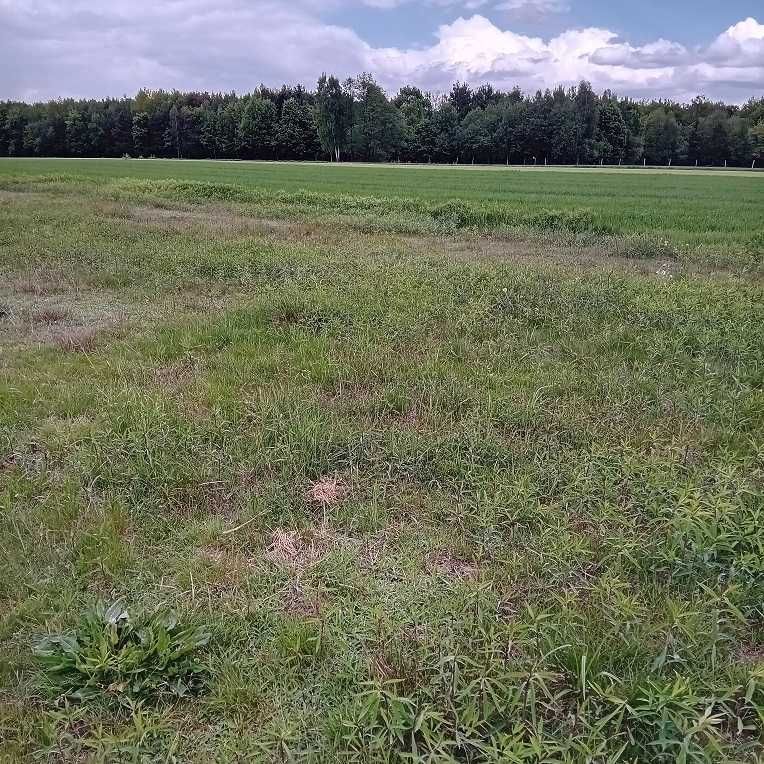 Działka budowlana Mołodycz Wola Mołodycka