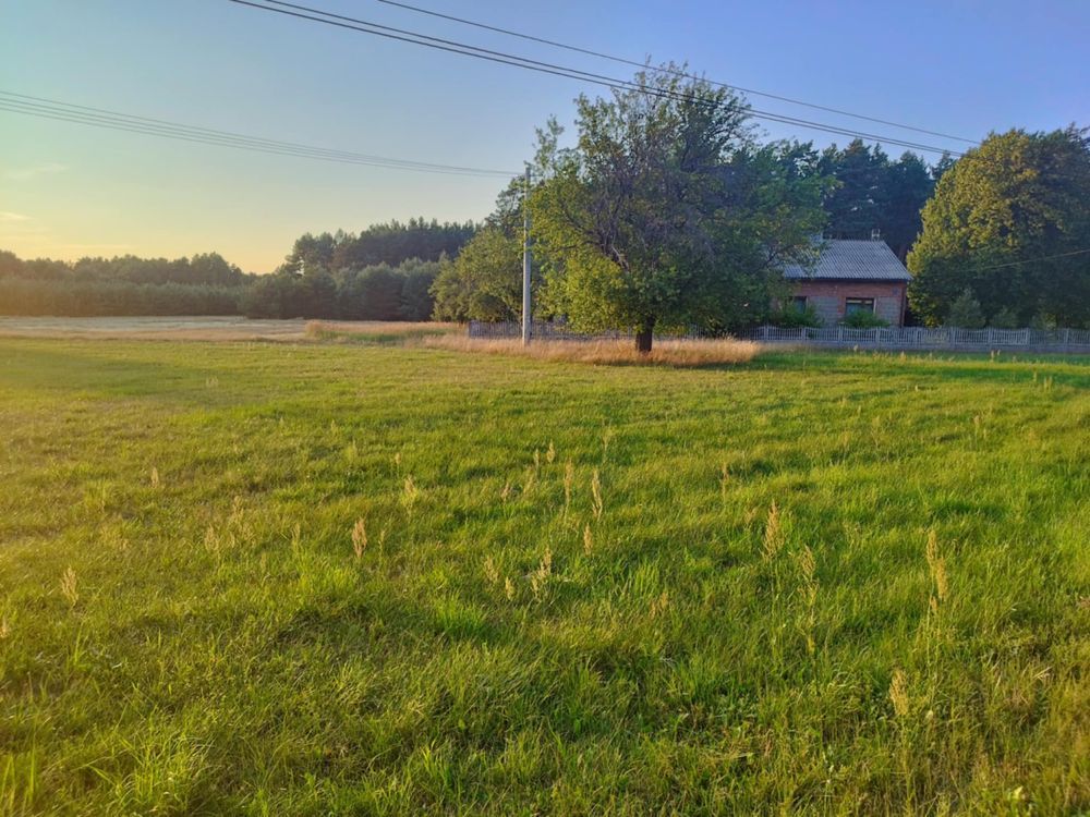 siedlisko Ścichawa. Zdjęcie 7