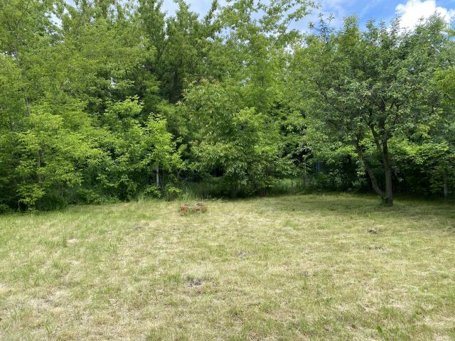 Działka rod Wrocław Księże Małe, ul. Cieszyńska. Zdjęcie 1