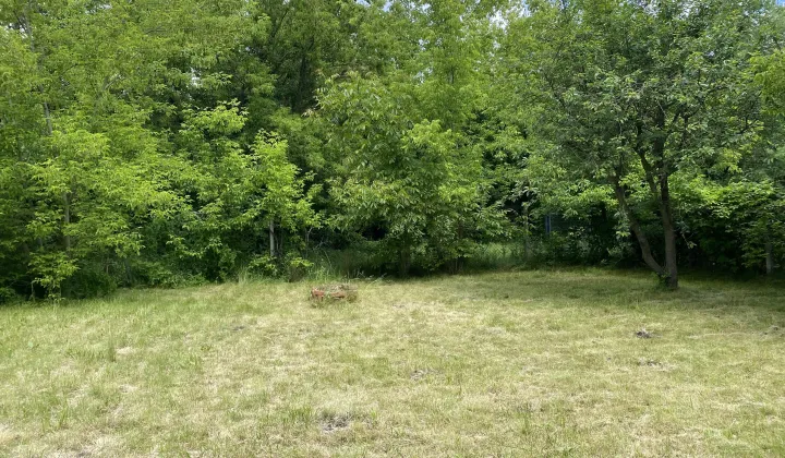 Działka rod Wrocław Księże Małe, ul. Cieszyńska