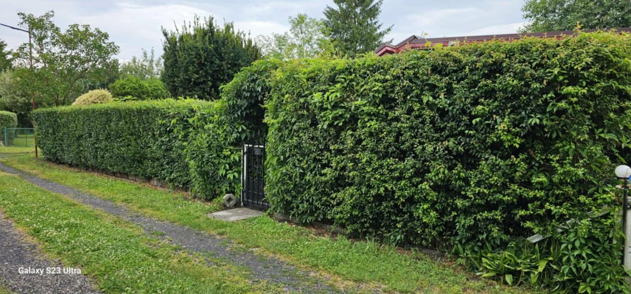 Działka rod Grudziądz Lotnisko, ul. Miłoleśna. Zdjęcie 7