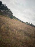 Działka budowlana Stajenczynki. Zdjęcie 1