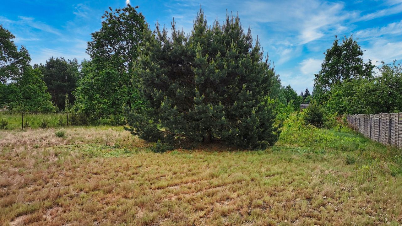 Działka budowlana Chojnów. Zdjęcie 6