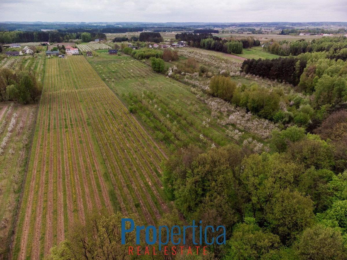 Działka budowlana Kocerany, ul. Nowy Trakt. Zdjęcie 9