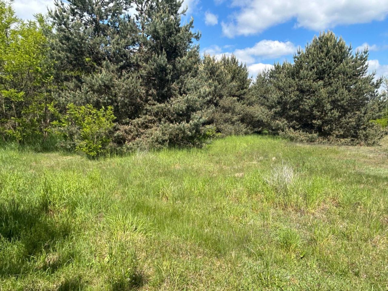 Działka budowlana Raszowa. Zdjęcie 8