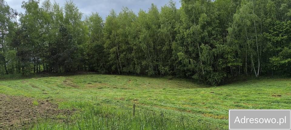 Działka rolna Błażowa. Zdjęcie 5
