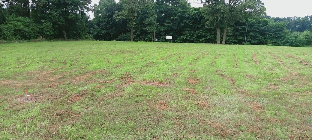 Działka rolno-budowlana Trzebiechów. Zdjęcie 2