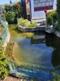 Działka rod Gdynia Babie Doły. Zdjęcie 2