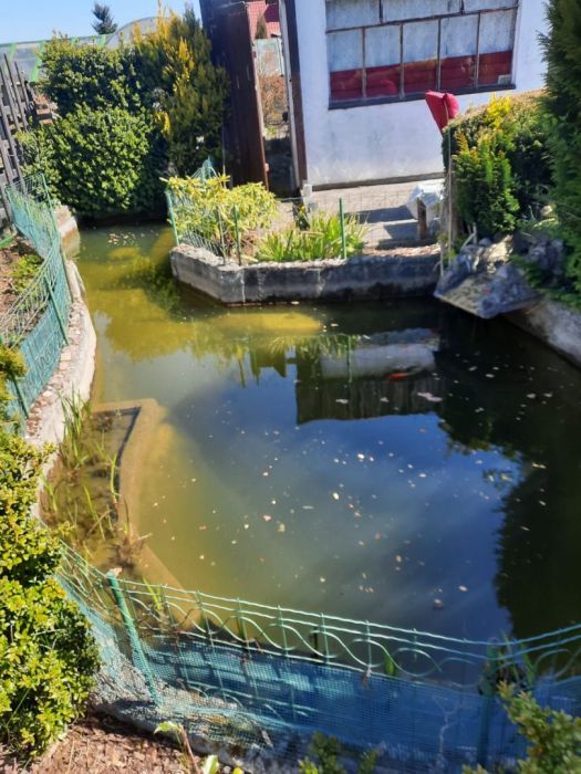 Działka rod Gdynia Babie Doły. Zdjęcie 3