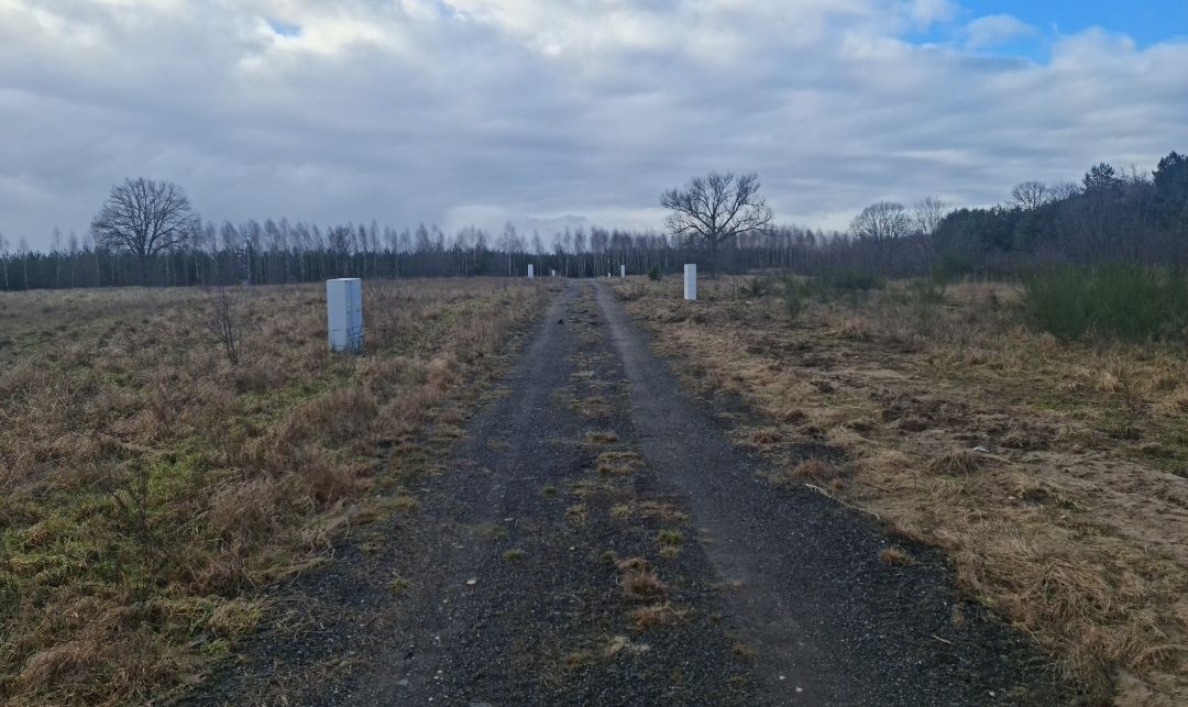 Działka budowlana Zimna Woda. Zdjęcie 6