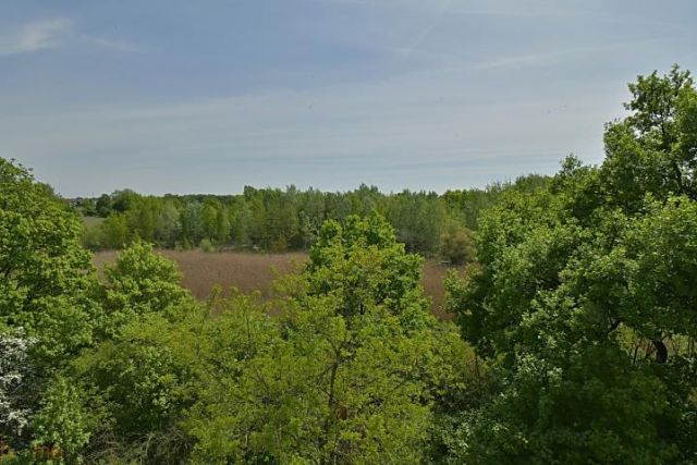 Mieszkanie 3-pokojowe Wrocław Psie Pole, ul. Chałupnicza. Zdjęcie 3